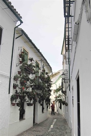 11 Barrio de la Villa